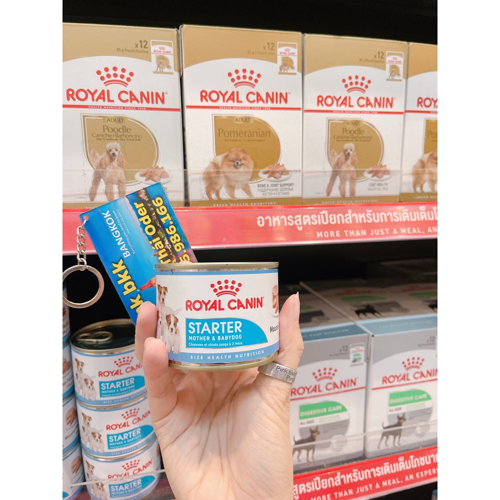 Pate Royal Canin Starter Mother &amp; Babydog cho chó con bắt đầu tập ăn ,Chó mẹ mang thai và cho con bú  NỘI ĐỊA THÁI LAN