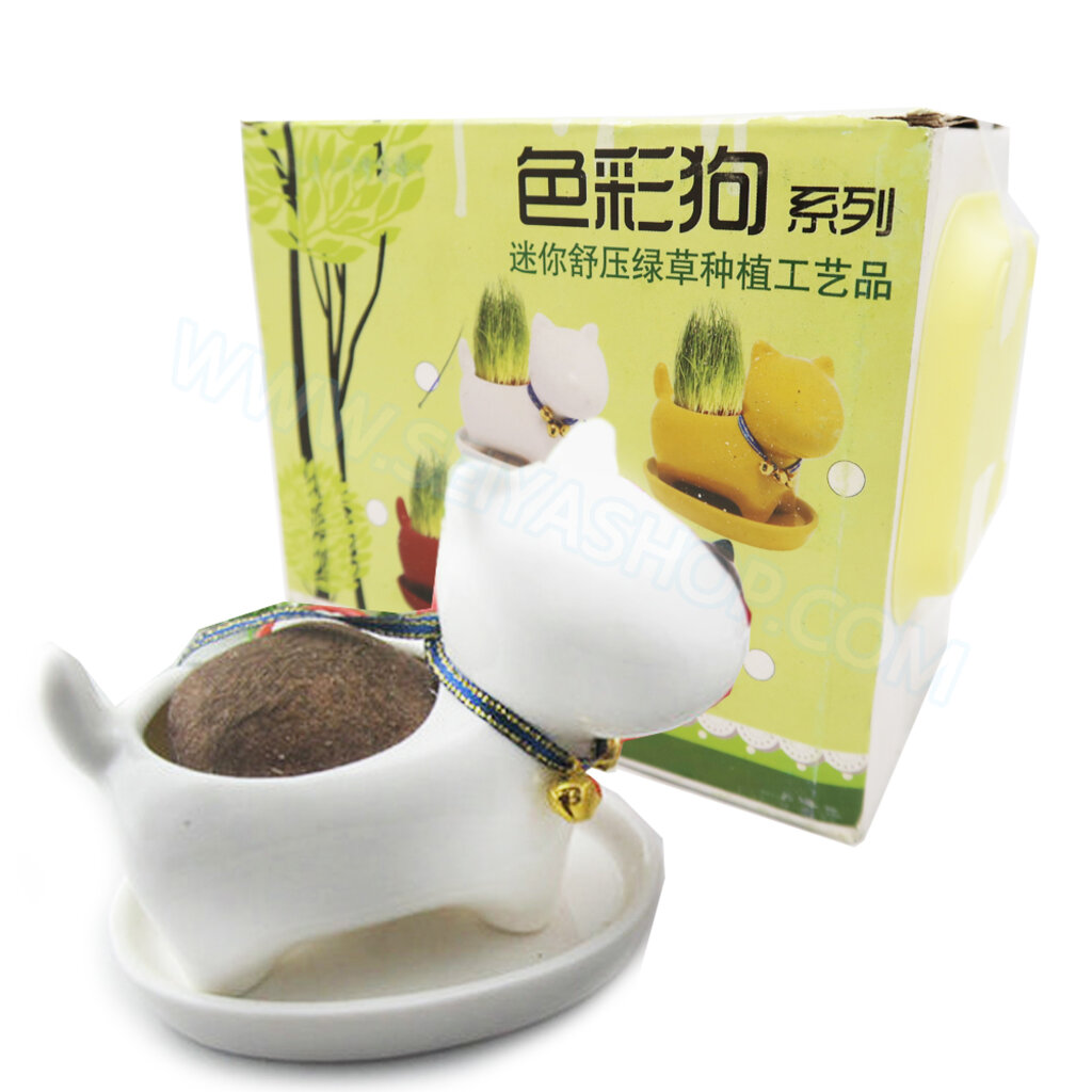 MN068 Bộ quà tặng MINI GARDEN Cây trồng cho chó nhỏ