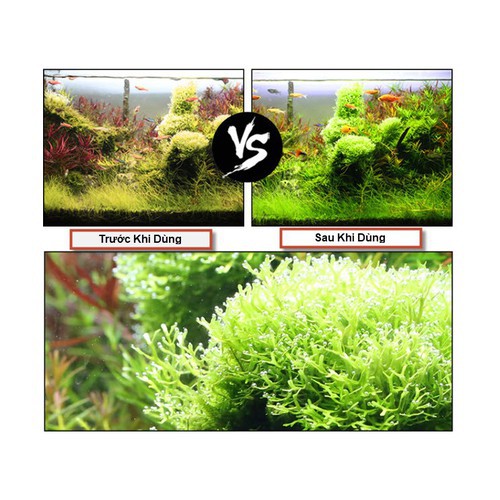 VIÊN SỦI CO2 SUNSUN CHO CÂY THỦY SINH VIÊN LẺ