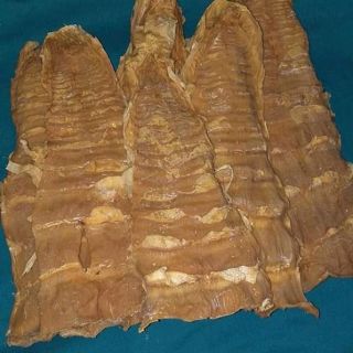 Măng mai khô
