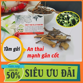 Cây Tầm Gửi Thanh BÌnh - Loại 1