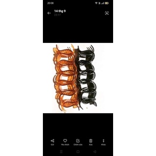 sét 12 kẹp càng cua