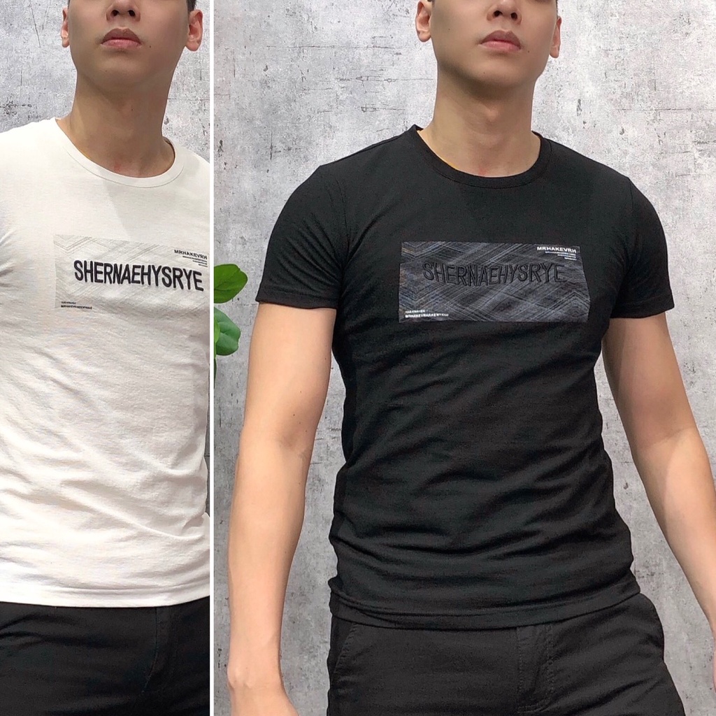 Áo thun nam cổ tròn ngắn tay bigsize áo phông thời trang cao cấp APNH - 34 - P903