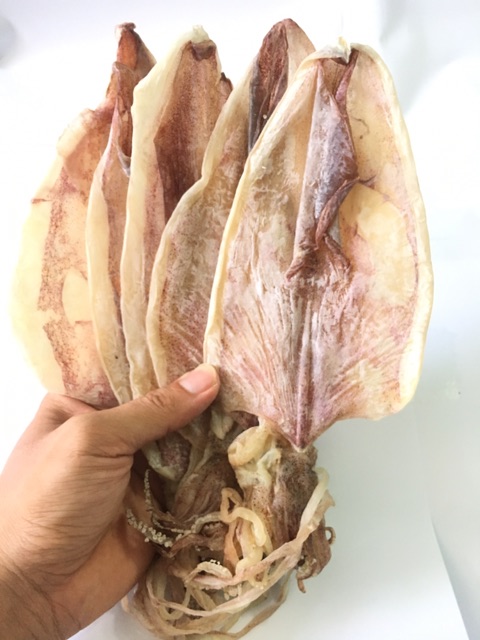 2 con mực lớn dày mình như hình | BigBuy360 - bigbuy360.vn