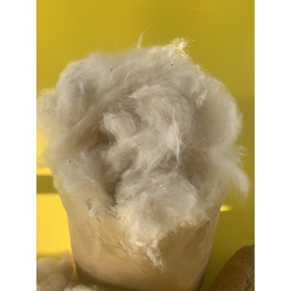 Bông gòn tự nhiên nhồi gối 500gr