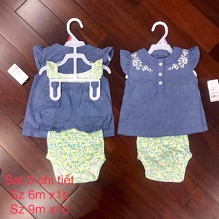 Set bộ carter