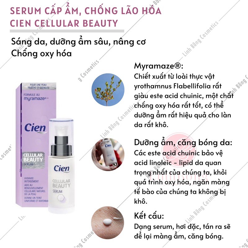 KEM DƯỠNG NGÀY VÀ ĐÊM VÀ SERUM CHỐNG LÃO HÓA CIEN CELLULAR BEAUTY