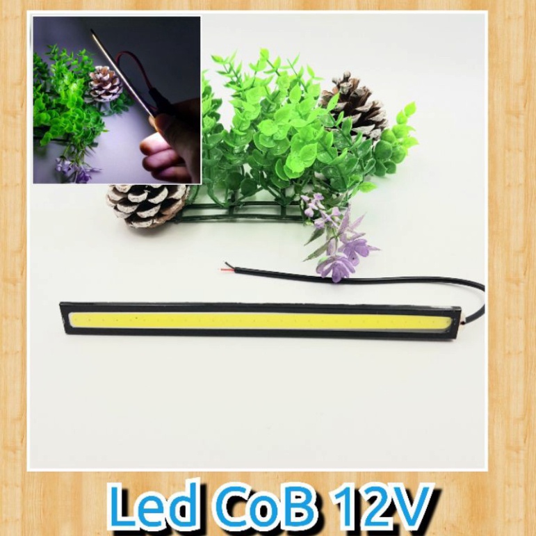 Đèn LED COB 12V Chiếu Sáng Bể Cá Máy Tính Hồ Thủy Sinh, Đèn Trang Trí Tiểu Cảnh
