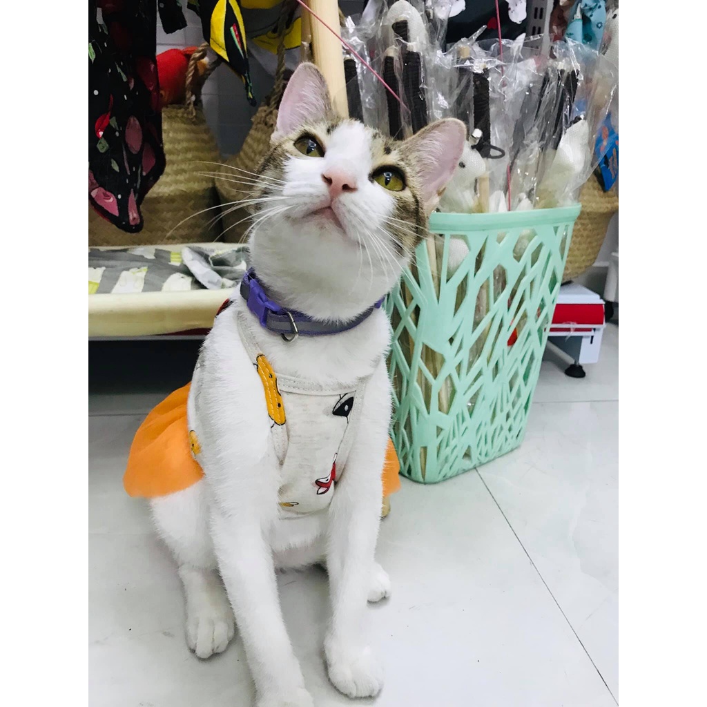 Áo Chó Mèo - Váy Đầm 2 Dây Cotton Phối Lưới