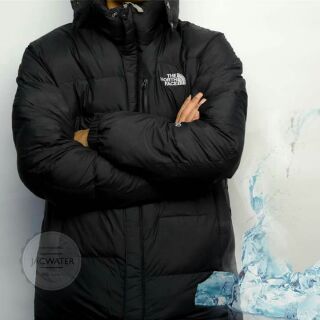 Áo phao lông vũ TNF