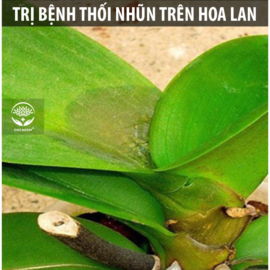 Nano bạc DOCNEEM phòng và trị vi khuẩn, nấm bệnh cho cây hoa lan, hoa hồng, cây cảnh, rau, thủy sản, chính hãng 100ml