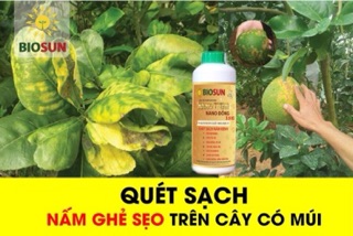 NANO ĐỒNG QUÉT SẠCH NẤM BỆNH