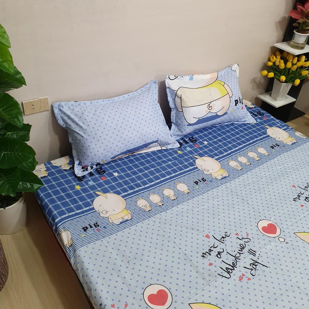 Combo bán buôn ga gối cotton poly m6, m8 nhiều mẫu (chat chọn mầu)