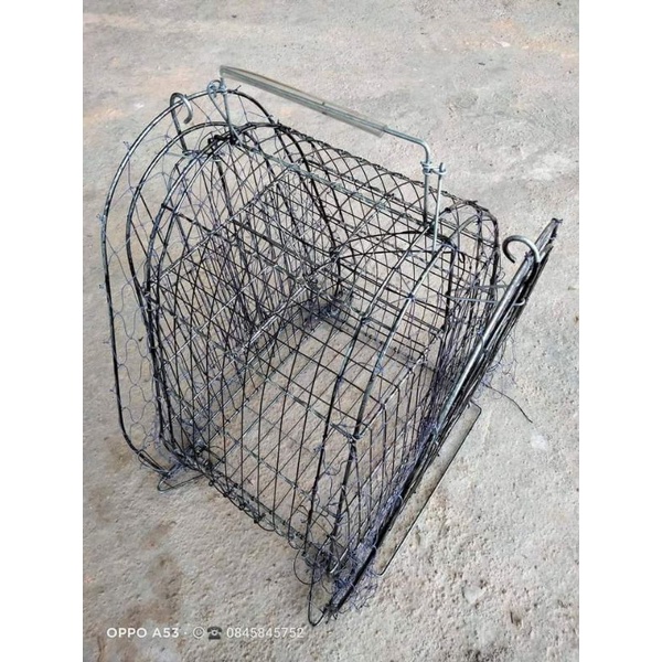 Lụp quốc chắc chắn