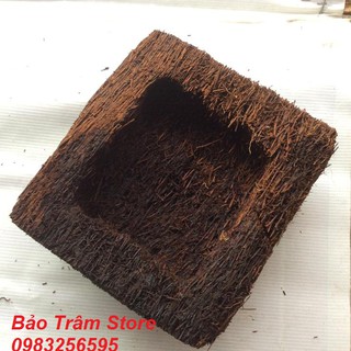 Chậu dớn trồng lan vuông kích thước 23cm