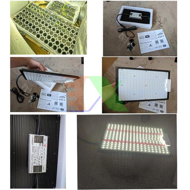 Đèn trồng cây Lượng tử QBS2000, Led grow lights chip Samsung 2000W, Đèn trồng rau trong nhà