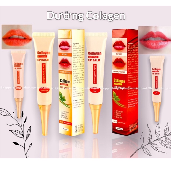 Dưỡng kích màu Colagen dùng cho môi sau phun xăm