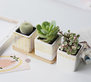 Chậu sứ vuông phong cách Bắc Âu