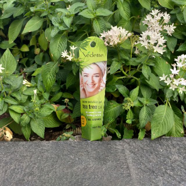 Gel Kháng Khuẩn Ngừa Mụn Tinh Chất Tràm Trà VEDETT 18g - 0514937 | BigBuy360 - bigbuy360.vn