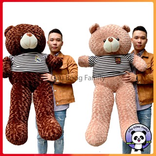 Gấu bông Teddy 1m4 khổ vải cao cấp loại 1 cao 1m2