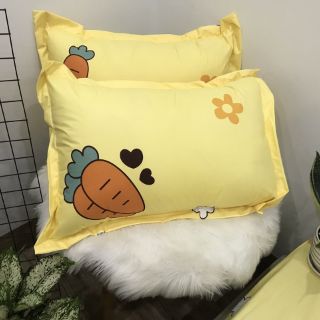Ga chống thấn cotton củ cà rốt