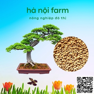 Đất núi lửa AKADAMA Nhật bản - 1kg