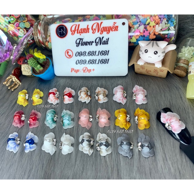 Set 2 Hoa Bột - Hoa cúc Ngọc