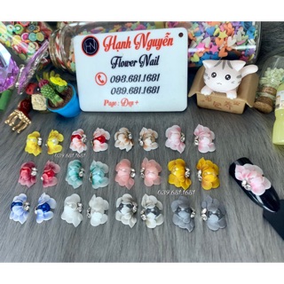 Set 2 Hoa Bột - Hoa cúc Ngọc