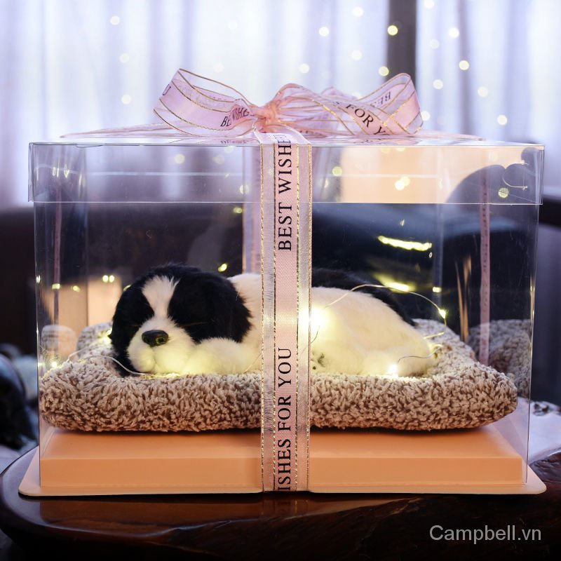 Hộp quà tặng sinh nhật sáng tạo dịp Lễ tình nhân cho bạn gái và bạn bè