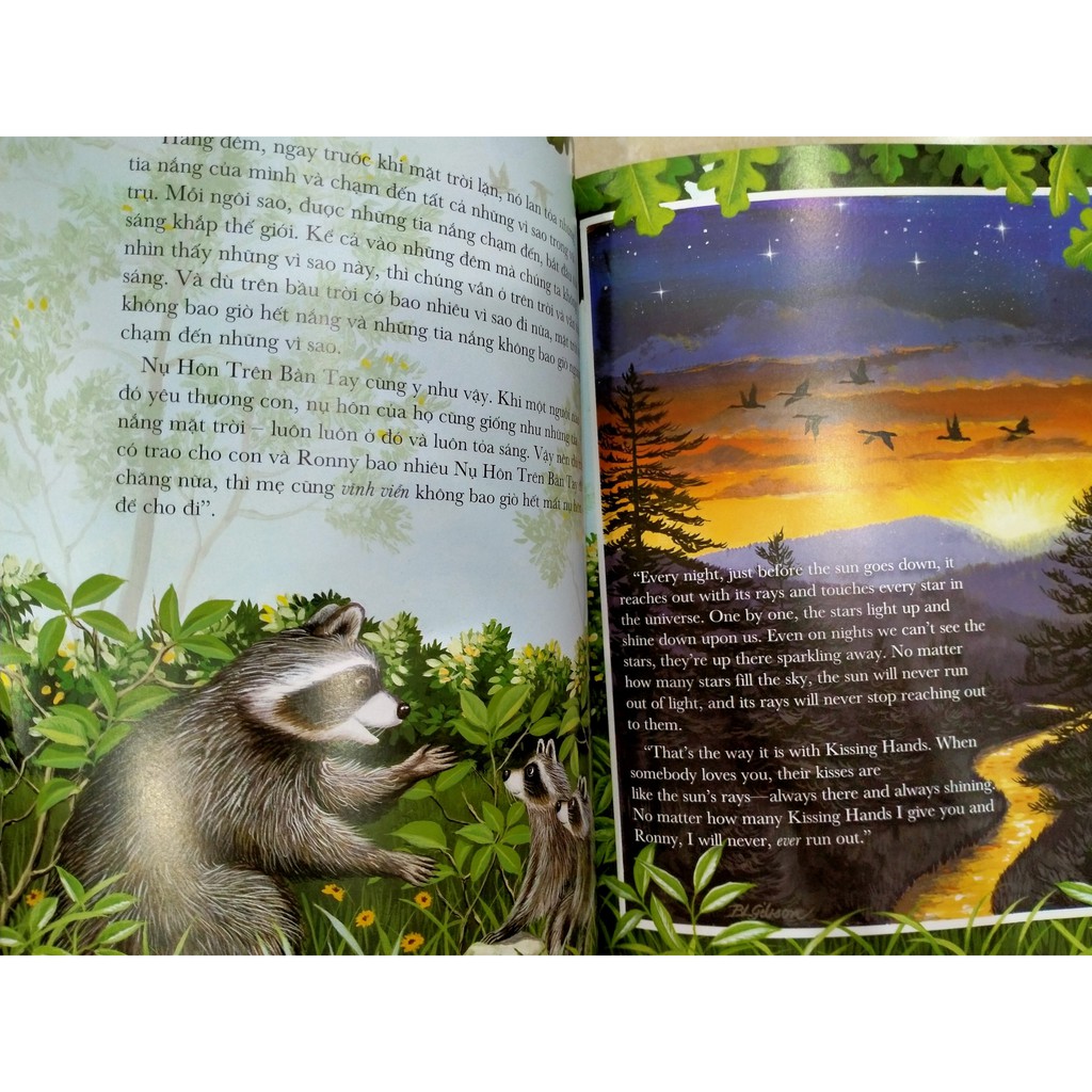 Sách -Chiếc túi đầy ắp những nụ hôn ( Picture book song ngữ )