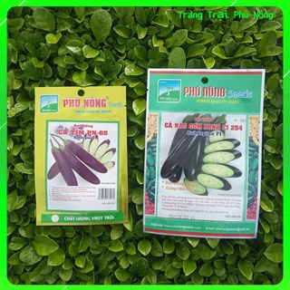 Hạt Giống Cà Tím Dài F1 PN-65 và Cà Nâu Cơm Xanh F1 254 Phú Nông - Aubergine