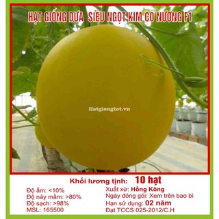 Hạt giống dưa Kim Cô Nương siêu ngọt