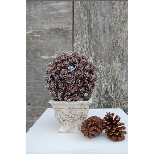 Quả thông khô, tự nhiên, thông trang trí, cho pet ăn