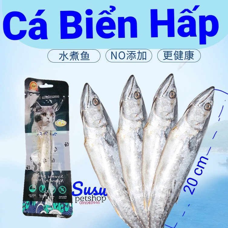 Cá Biển Hấp cho mèo