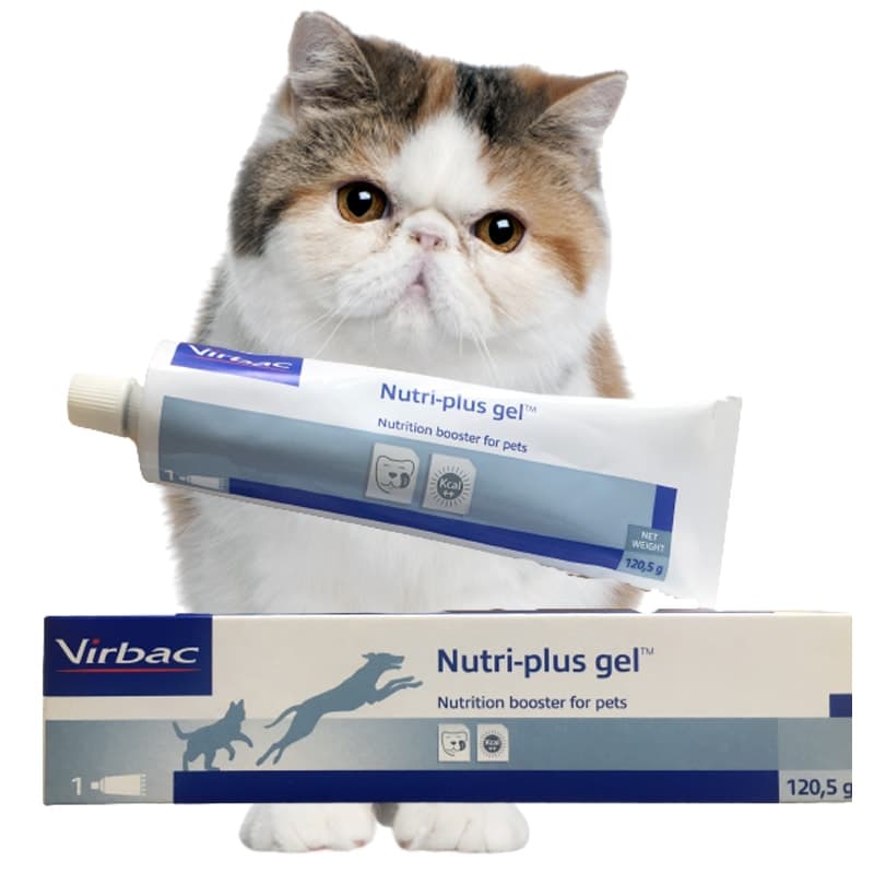 [VIRBAC Nutri Plus Gel - CHÍNH HÃNG] Gel dinh dưỡng cho thú cưng/ chó mèo 120.5G
