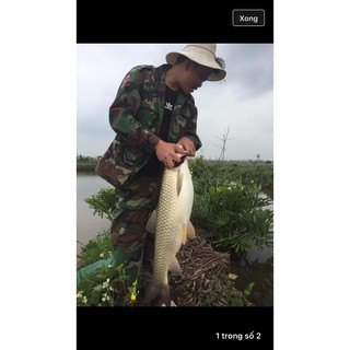 Mồi câu cá(thính lk)