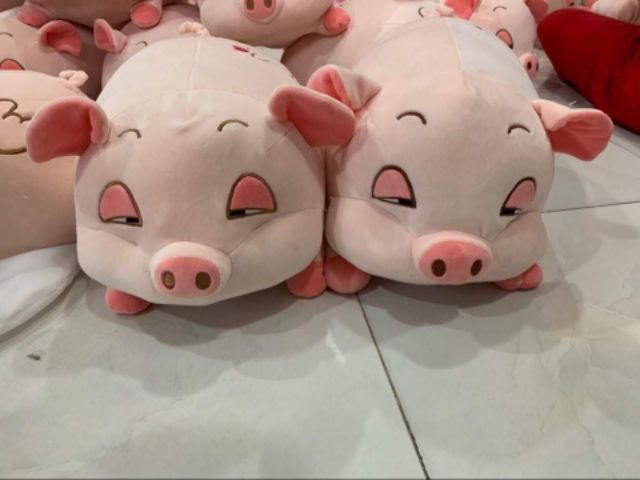 Chăn thú 2 trong 1 dùng cho bé hoặc công sở