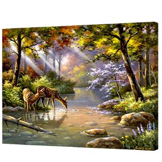 Tranh vải canvas không khung trang trí diy 40*50cmXZE949YX-1