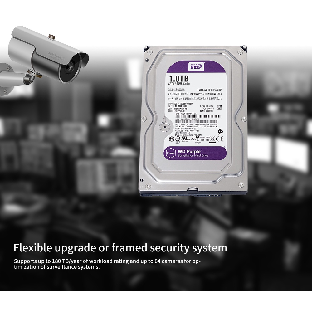 HDD 1TB WD Purple Chuyên Camera | BigBuy360 - bigbuy360.vn