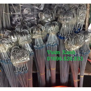 Combo 50 chậu lan đen phi 16 và 3kg rỉ mật