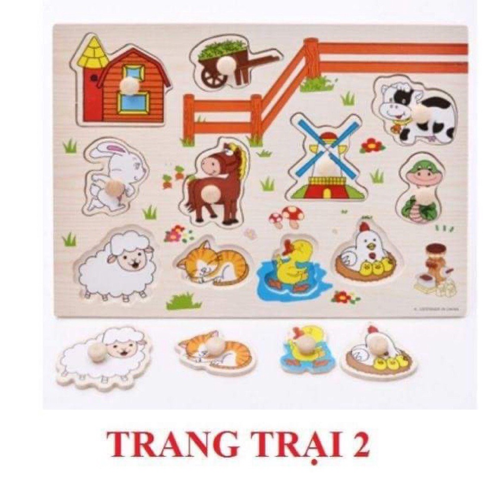 Đồ Chơi Gỗ Bảng Ghép Hình Có Núm Nhiều Chủ Đề Cho Bé-Giúp bé cảm giác cầm nắm nhận biết số chữ, con vật,hoa quả.