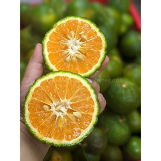 Cam Sành ngọt ngon nhiều nước