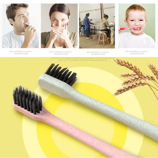 Bộ 10 bàn chải đánh răng chất liệu lúa mạch
