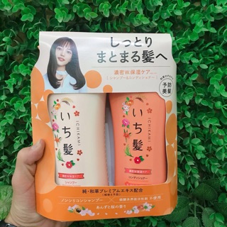 Bộ dầu gội ichikami nhật bản