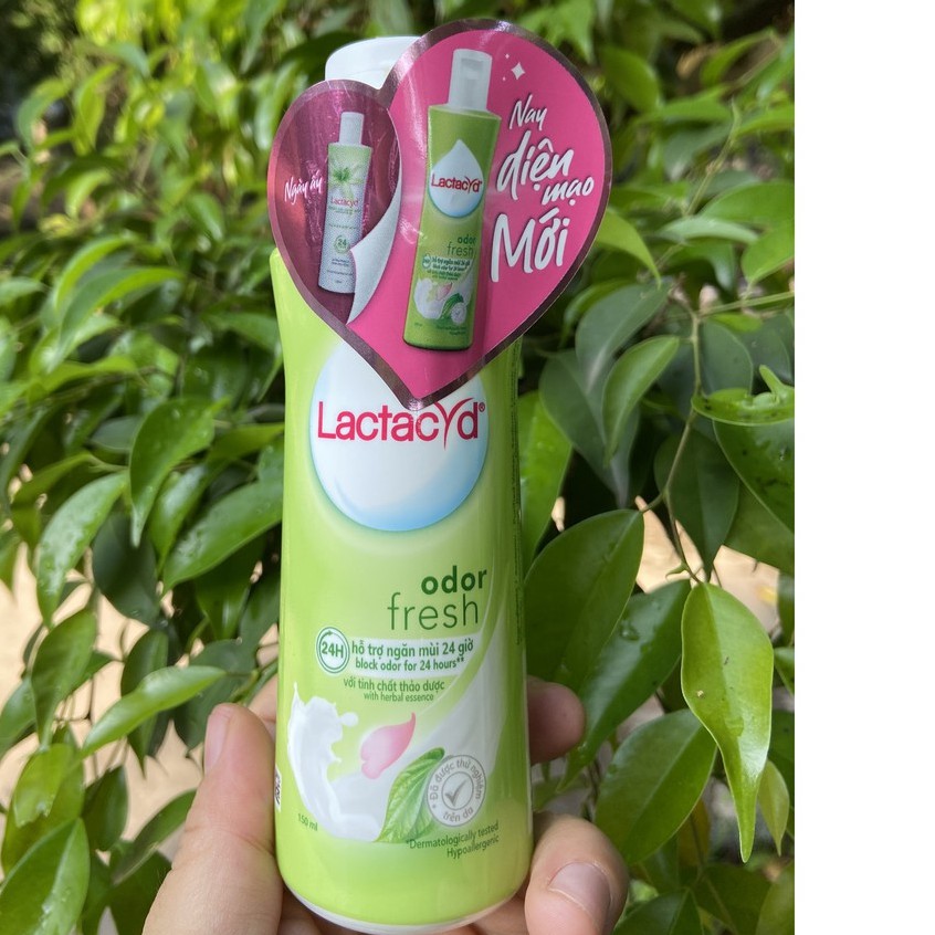 DUNG DỊCH VỆ SINH PHỤ NỮ LACTACYD NGÀY DÀI TƯƠI MÁT 150ML