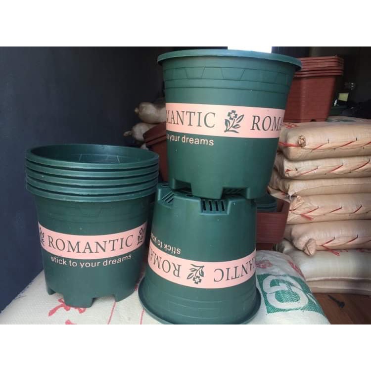 5 CHẬU NHỰA ROMANTIC #3