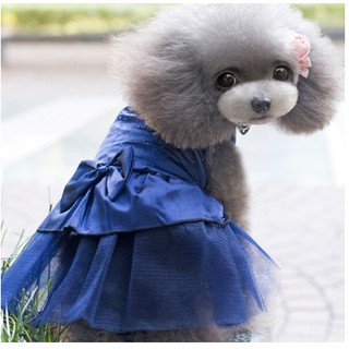 Váy cho chó mèo giá rẻ dễ mặc