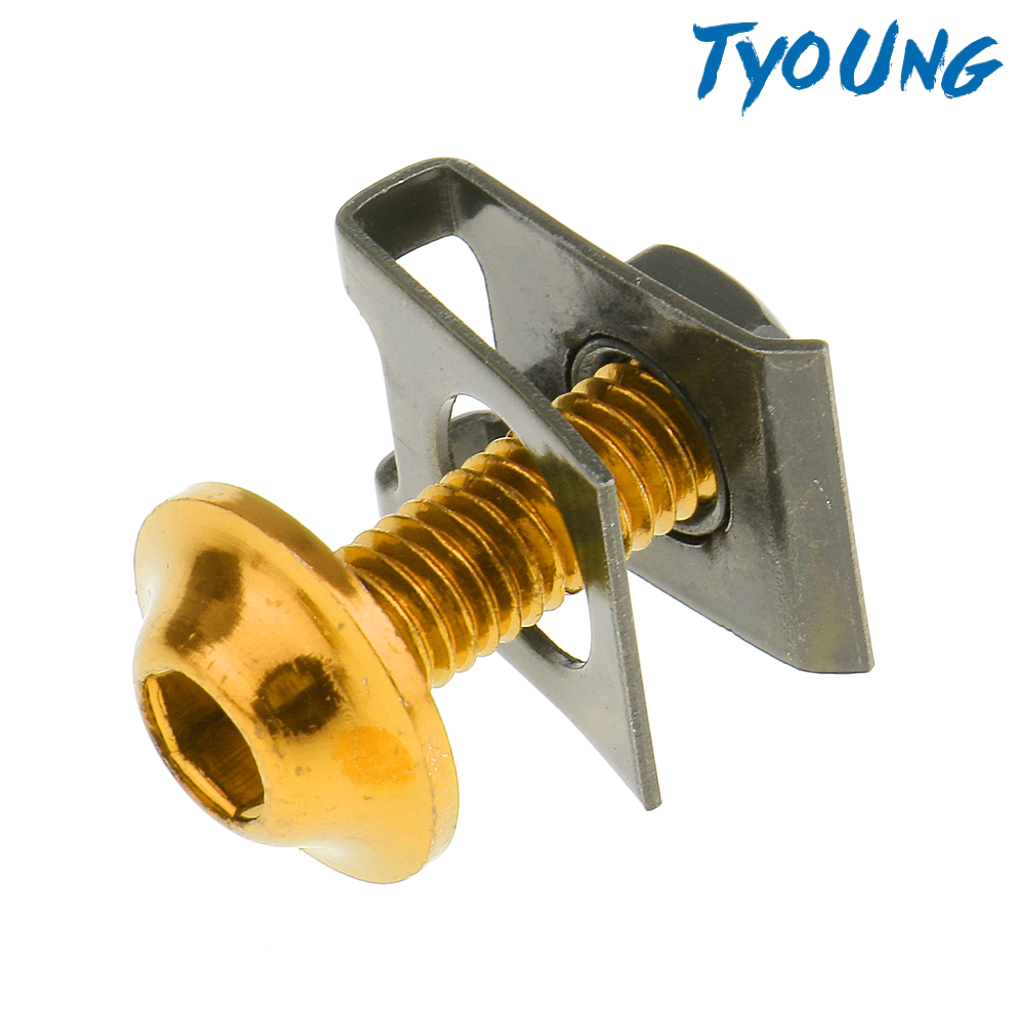 Bộ 10 Đinh Vít M6 / 6mm Màu Đen Cho Xe Mô Tô Honda