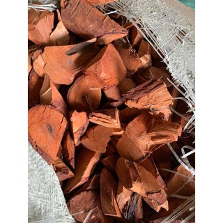 Rể cây mú từn - 100% rể cao cấp