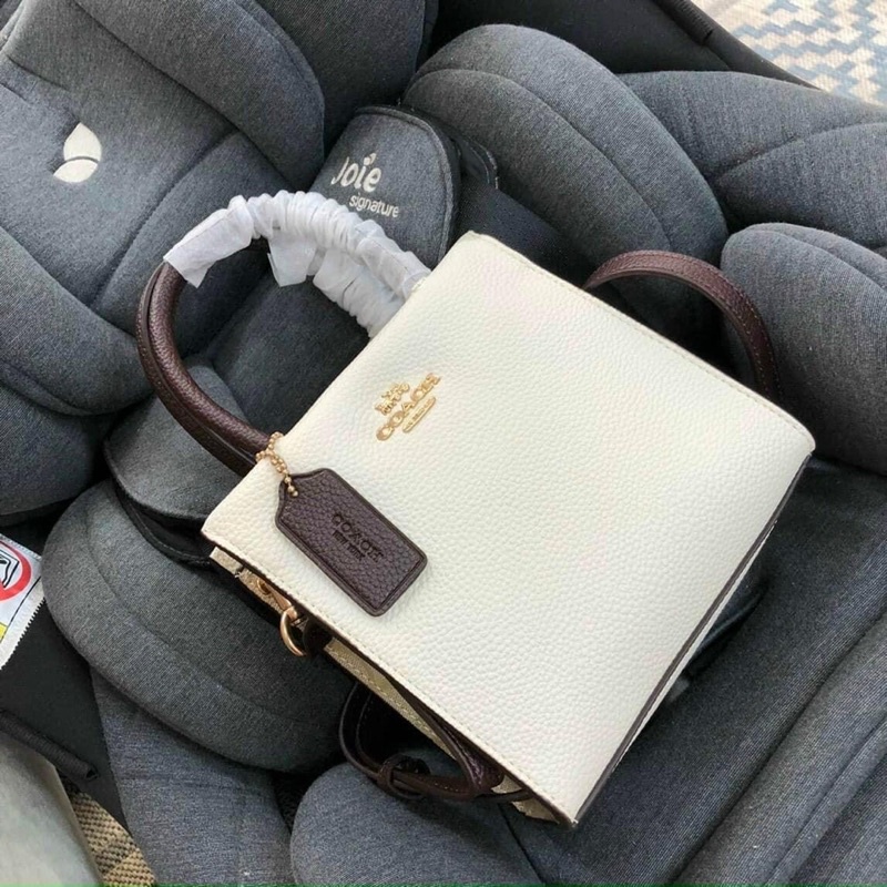 Túi Coach mini